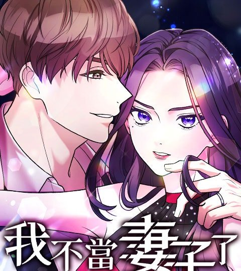 我不当妻子了封面